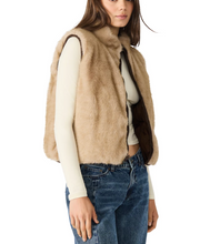 Load image into Gallery viewer, Steve Madden - Brady Reversible Vest